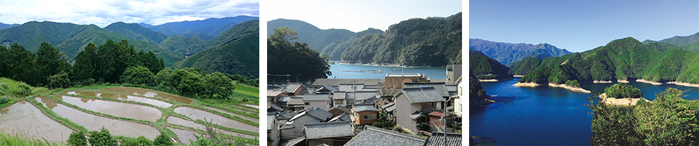 写真は左から和歌山県(田辺市提供)、三重県(尾鷲市提供)、奈良県